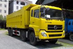 東風(fēng) 大力神重卡 260馬力 8X4 自卸車(chē)(DFL3311AX1A)