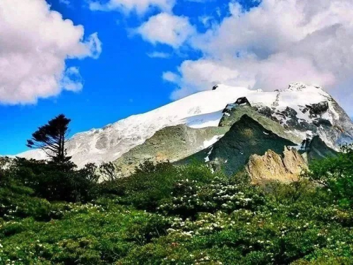 全擎集結 馳騁云滇 江西五十鈴哈巴雪山探秘之旅火熱進(jìn)行中第1張